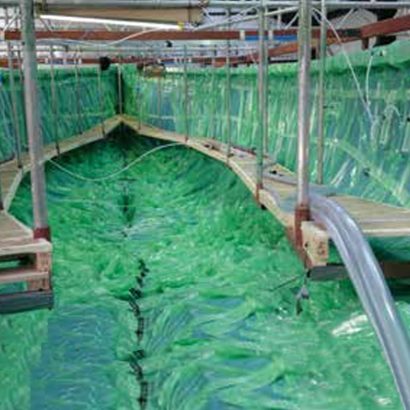 SquareImages_Marine_WhyAerovac Marine Manufacturing with Aerovac Process Materials